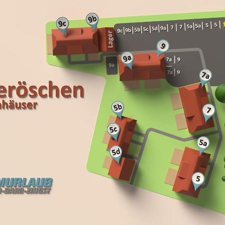 Heideroeschen Park Heideroeschen 5C Villa Zingst Exteriör bild